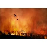 Portugalia a declarat stare de alertă din cauza incendiilor de vegetație provocate de temperaturile extreme