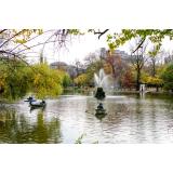 Primăria Capitalei vrea să alunge ciorile din Cișmigiu cu ajutorul unor păsări de pradă