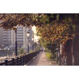 Prognoza meteo - 12 septembrie 2022. Vremea se răcește treptat