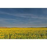 Prognoza meteo ANM pentru miercuri, 13 iulie. Continuă să fie răcoare &icirc;n majoritatea zonelor țării