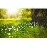 Prognoza meteo ANM pentru miercuri, 3 august. &Icirc;n jumătatea de sud-vest va fi foarte cald