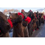 Prognoza meteo ANM pentru finalul anului. Cum va fi vremea de Revelion