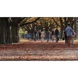 Prognoza meteo ANM pentru joi, 29 septembrie. Cum va fi vremea &icirc;n țară