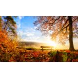 Prognoza meteo ANM pentru marți, 1 noiembrie. Vremea va fi nefiresc de caldă