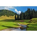 Prognoza meteo pentru marți, 21 iunie. ANM: &Icirc;ncă o zi călduroasă 