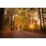 Prognoza meteo ANM pentru marți, 25 octombrie. Soare și vreme bună &icirc;n cea mai mare parte a țării