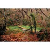 Prognoza meteo ANM pentru marți, 8 noiembrie. Cum va fi vremea la munte