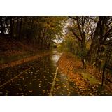 Prognoza meteo ANM pentru miercuri, 19 octombrie. De c&acirc;nd se răcește vremea