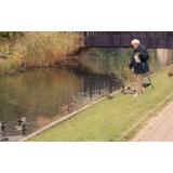 Prognoza meteo ANM pentru miercuri, 5 octombrie. Cum va fi vremea &icirc;n țară  