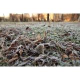 Prognoza meteo ANM pentru joi, 17 octombrie. Vremea se răcește