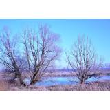 Prognoza meteo ANM pentru luni, 3 octombrie. Vremea se răcește