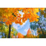 Prognoza meteo ANM pentru miercuri, 7 septembrie. Vremea se va &icirc;ncălzi