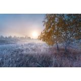 Prognoza meteo ANM pentru weekendul 19-20 noiembrie. 0 grade Celsius &icirc;n sudul Moldovei