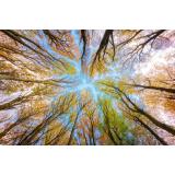 Prognoza meteo ANM pentru vineri, 30 septembrie. Vreme caldă &icirc;n toată țara 