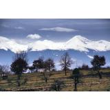 Prognoza meteo ANM pentru vineri, 9 decembrie. Vremea se &icirc;ncălzește