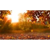 Prognoza meteo ANM pentru vineri, 9 septembrie. Temperaturile cresc