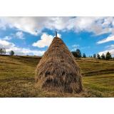 Prognoza meteo ANM pentru weekendul 24 - 25 septembrie. Vremea se va &icirc;ncălzi ușor