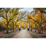 Prognoza meteo pentru joi, 3 noiembrie. Vreme caldă &icirc;n aproape toată țara 