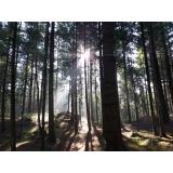 Prognoza meteo pentru marți, 18 octombrie. Temperaturile cresc ușor