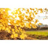 Prognoza meteo pentru luna septembrie. Cum va fi vremea &icirc;n următoarele 4 săptăm&acirc;ni