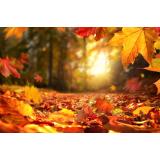 Prognoza meteo pentru vineri, 4 noiembrie. Cum va fi vremea la final de săptăm&acirc;nă