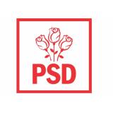 Propunere PSD: Plafonarea prețurilor la energie să se raporteze la consumul curent și la anul 2021 