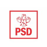 PSD consideră că USR a devenit singurul partid din Rom&acirc;nia care susține munca la negru