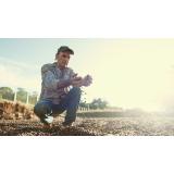  Rom&acirc;nia, păm&acirc;nt scump și r&acirc;vnit. Străinii dețin o treime din terenurile arabile ale țării noastre. Zonele dominate de turci, italieni și arabi