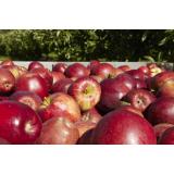 Rusia interzice importul produselor agricole din Republica Moldova