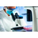 Bolile care se pot trata cu celule stem