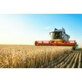 Tone de gr&acirc;u sunt blocate de ruși &icirc;n porturile din Ucraina. Ce condiții a impus Rusia pentru a le elibera