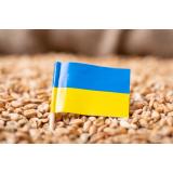 Ucraina și Rusia semnează la Istanbul acordul pentru exportul cerealelor