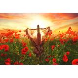 Horoscopul iubirii 6 - 12 iunie 2022: Află ce &icirc;ți rezervă astrele!