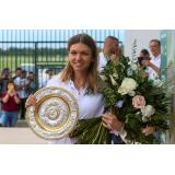 Simona Halep &icirc;mplinește astăzi 31 de ani