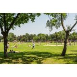 Situația epidemiologică COVID-19 din Rom&acirc;nia &icirc;n ultimele 24 de ore