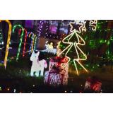 Știai că decorarea casei și grădinii pentru Crăciun are beneficii?