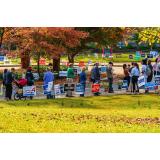 SUA: Republicanii au c&acirc;știgat majoritatea &icirc;n Camera Reprezentanților. Joe Biden i-a felicitat