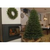 Țări ce au transformat &icirc;n importantă sărbătoare &icirc;mpodobitul bradului 