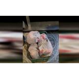 Terasă &icirc;nchisă de ANPC, redeschisă de patron. Fost angajat: m&acirc;ncarea e &bdquo;moarte sigură&rdquo; 