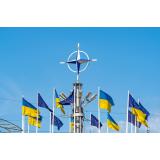 Ucraina, reacții dure la adresa unui oficial NATO care a sugerat că Kievul ar trebui să renunțe la teritorii pentru a adera la alianță