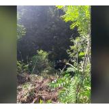 Un utilaj feroviar s-a răsturnat la Roșiorii de Vede. Un bărbat și-a pierdut viața