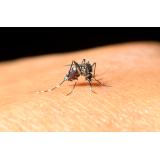 Două persoane infectate cu West Nile, internate la terapie intensivă la Brăila