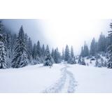 Zonele din Rom&acirc;nia unde zăpada a atins peste un metru jumătate