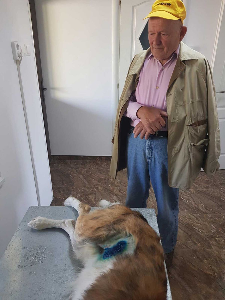 Ion Popa, batranul de 84 de ani care a mers pe jos 8 kilometri pentru a-si duce cainele la veterinar