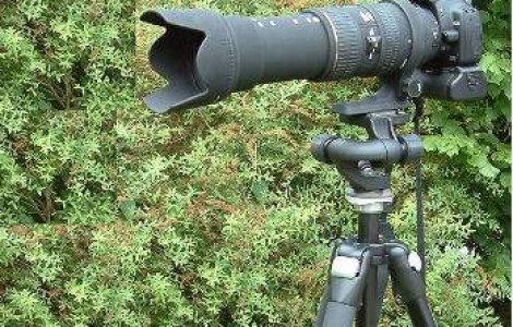 Romania, tara in care tinerii isi doresc sa devina jurnalisti