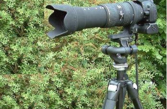 Romania, tara in care tinerii isi doresc sa devina jurnalisti