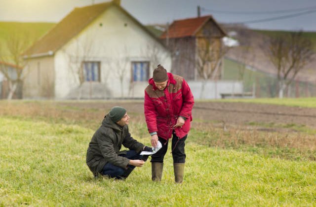 5 idei de afaceri in agricultura care vor aduce profituri enorme in 2017