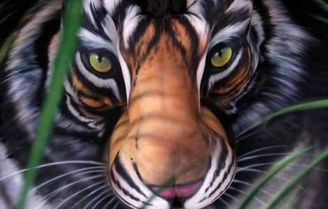  Top  Top 10 iluzii optice care iti vor pune mintea la incercare