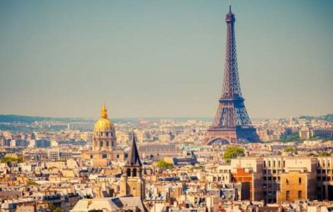  Video  Parcuri din Paris, inchise din cauza sobolanilor. Numarul rozatoarelor a crescut alarmant