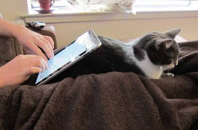 5 Tablet PC-uri: Crezi ca vor inlocui ele laptop-ul?